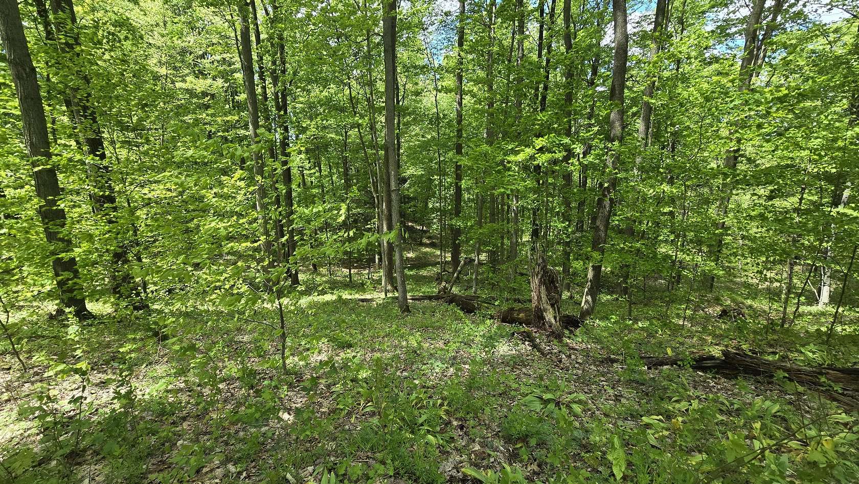 10 Acres of Recreational Land for Sale in Copemish, Michigan