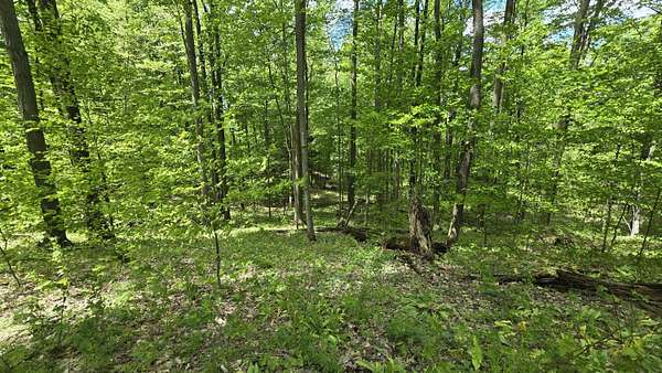10 Acres of Recreational Land for Sale in Copemish, Michigan