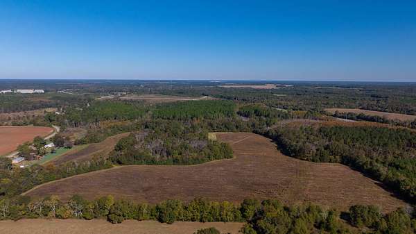 300 Acres of Recreational Land & Farm for Auction in Smithville, Georgia