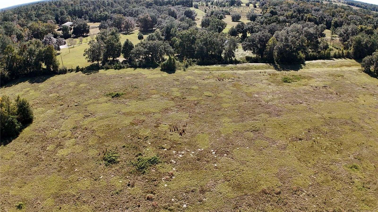 3.5 Acres of Residential Land for Sale in Ocala, Florida