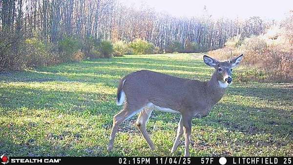 84.3 Acres of Recreational Land for Sale in Sayre, Pennsylvania