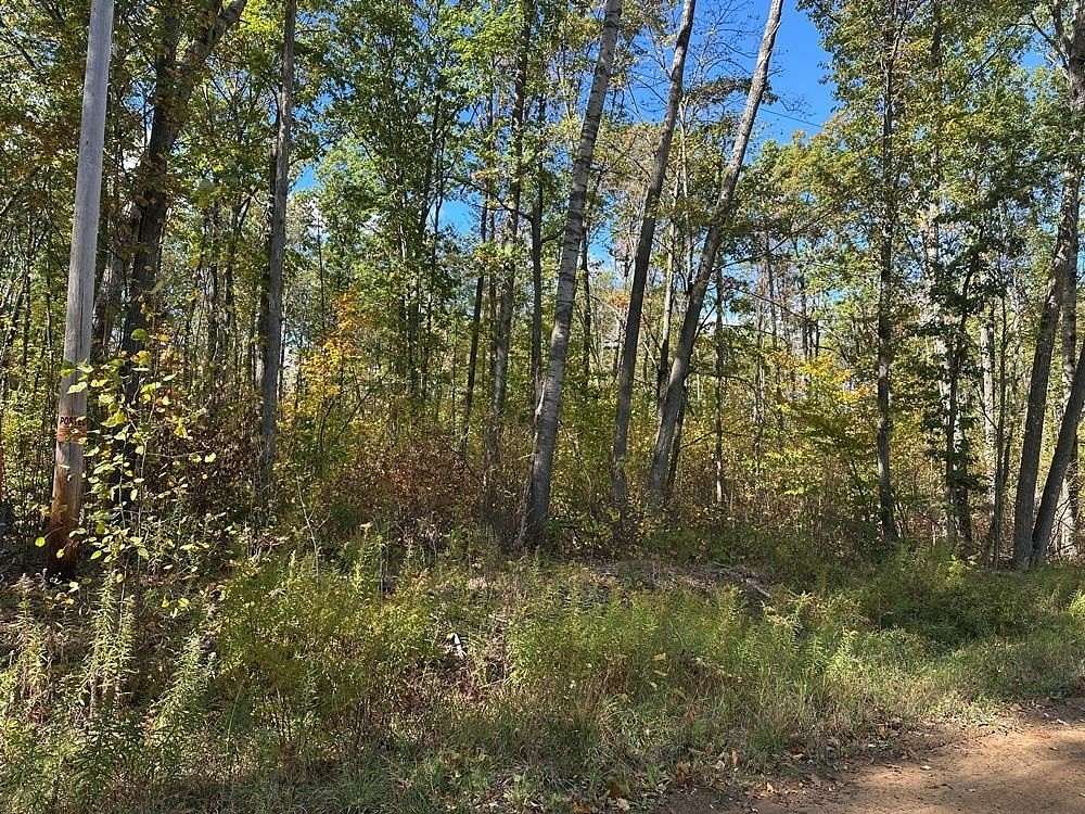 10 Acres of Recreational Land for Sale in Harrison, Michigan