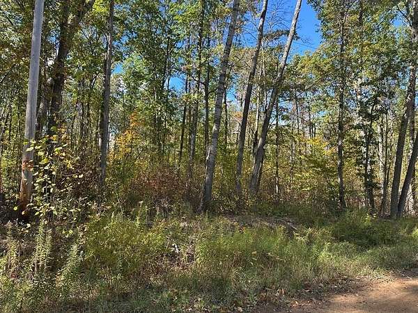 10 Acres of Recreational Land for Sale in Harrison, Michigan