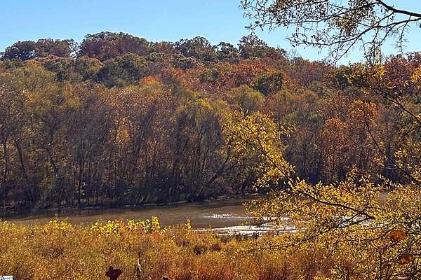 5 Acres of Residential Land for Sale in Laurens, South Carolina