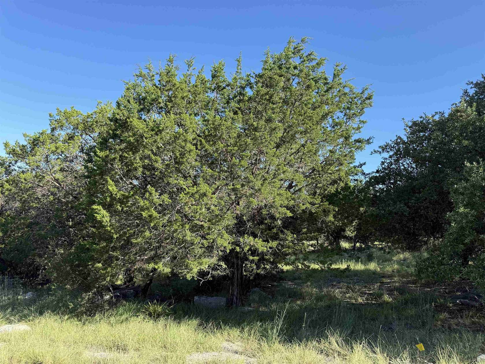 0.24 Acres of Land for Sale in Horseshoe Bay, Texas