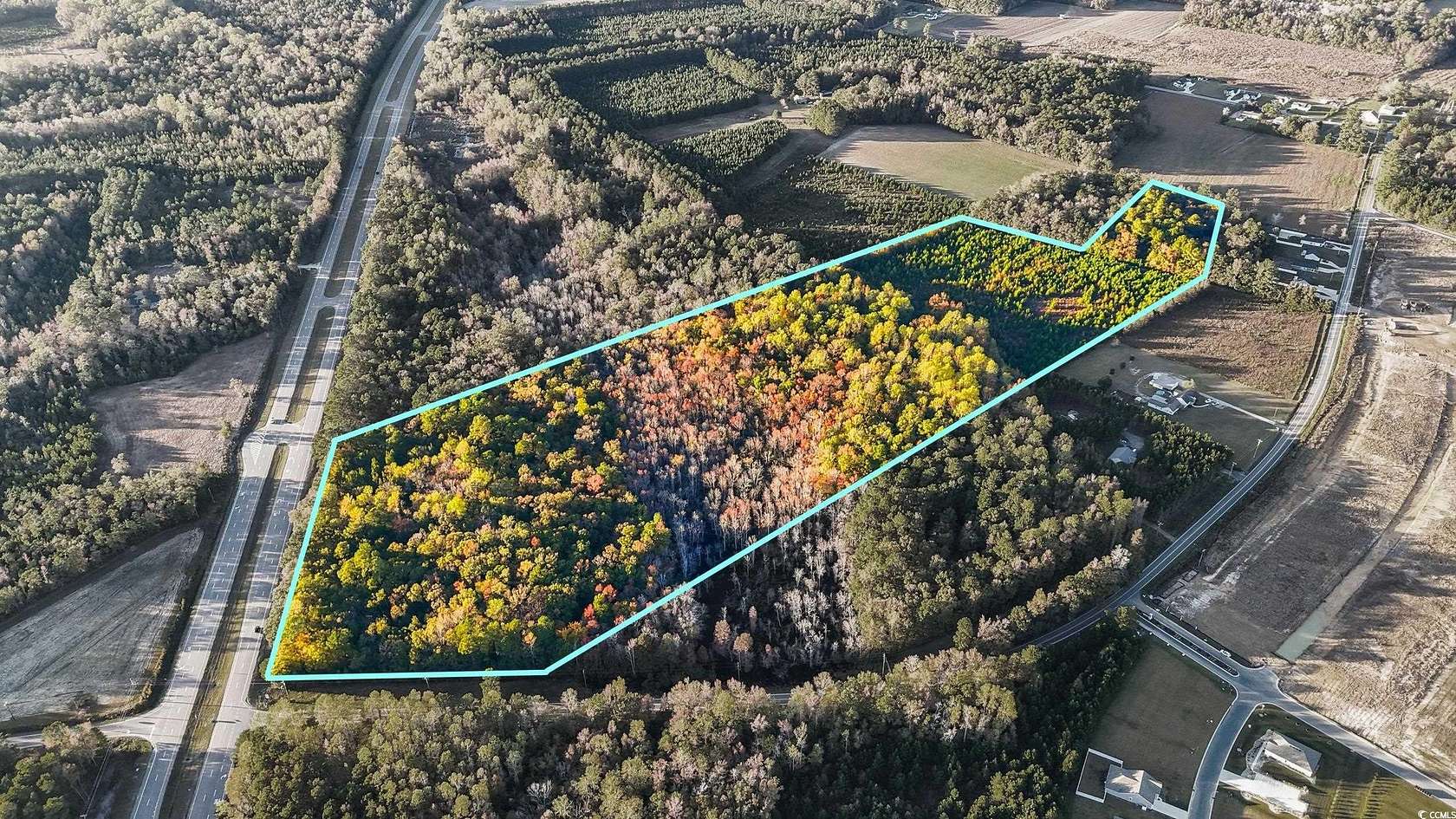 53.6 Acres of Recreational Land for Sale in Loris, South Carolina