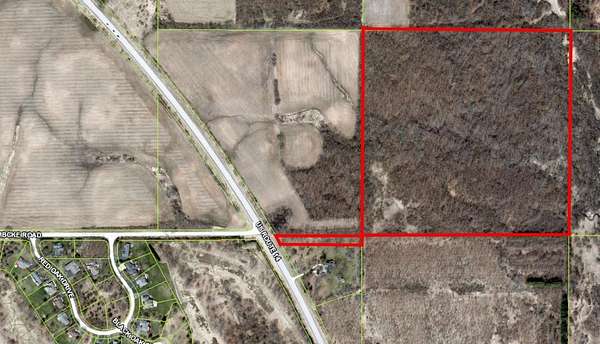40.8 Acres of Agricultural Land for Sale in Harvard, Illinois