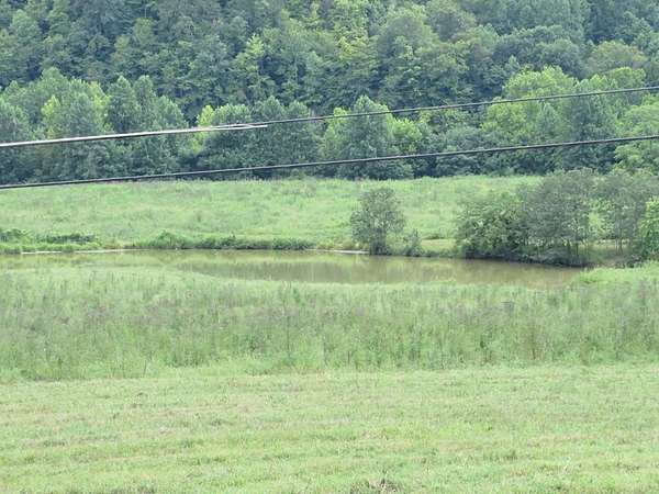 367 Acres of Land for Sale in Louisa, Kentucky