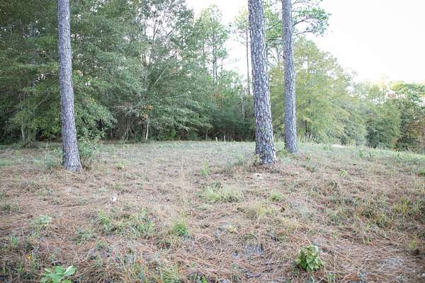 9 Acres of Commercial Land for Sale in Hattiesburg, Mississippi