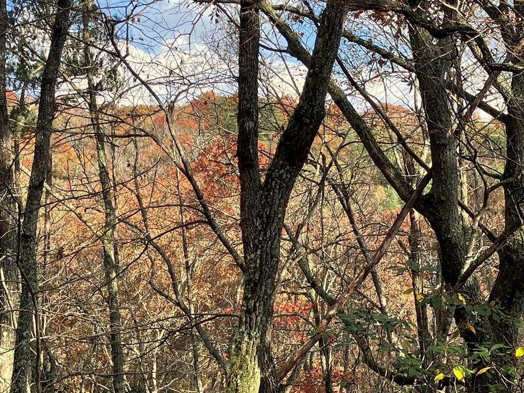 Residential Land for Sale in Hayesville, North Carolina