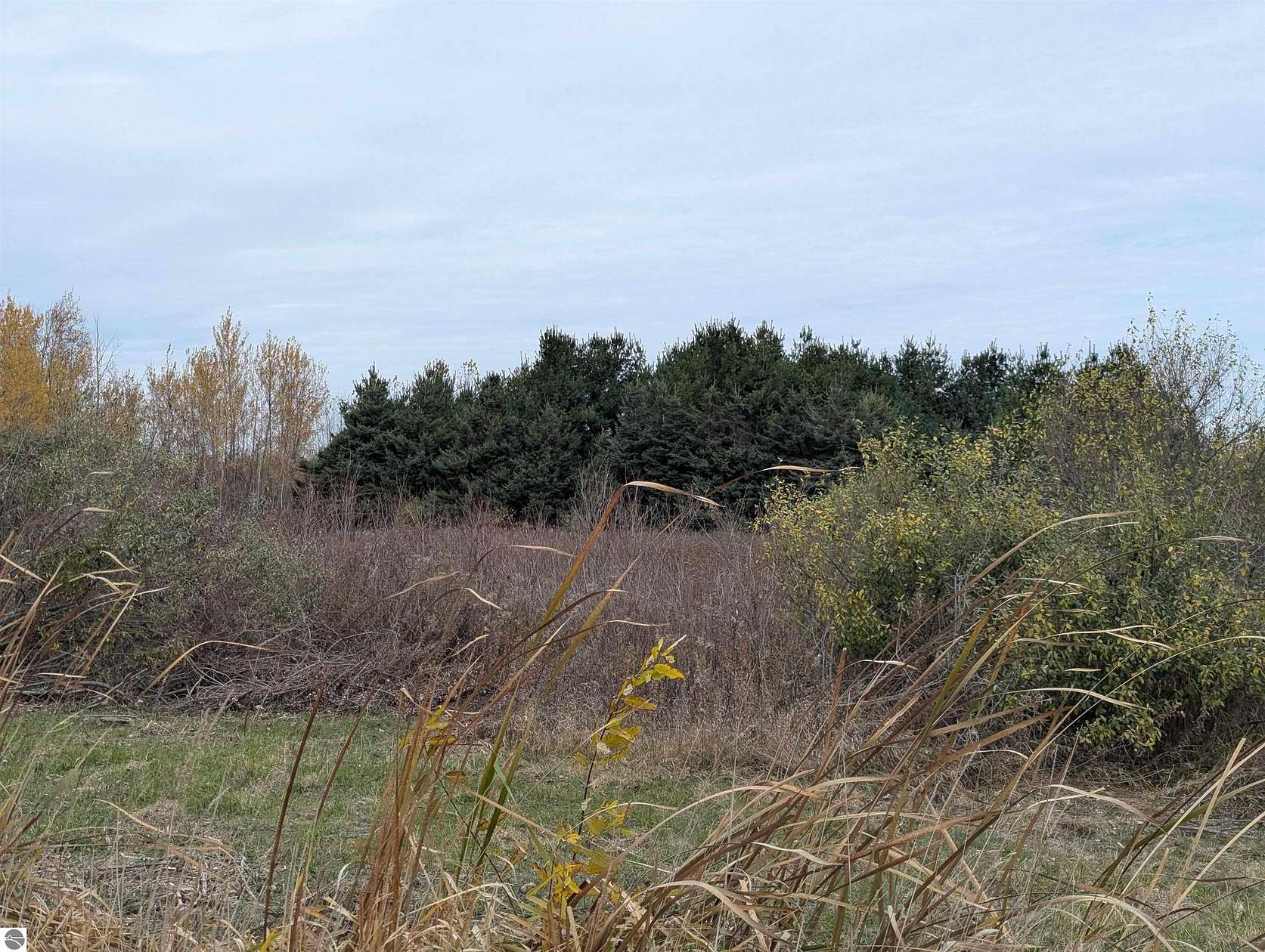 10.2 Acres of Recreational Land for Sale in Au Gres, Michigan