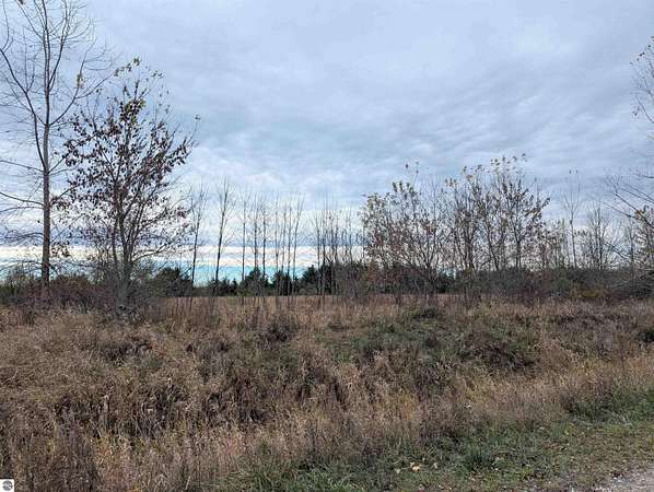 22 Acres of Recreational Land for Sale in Au Gres, Michigan