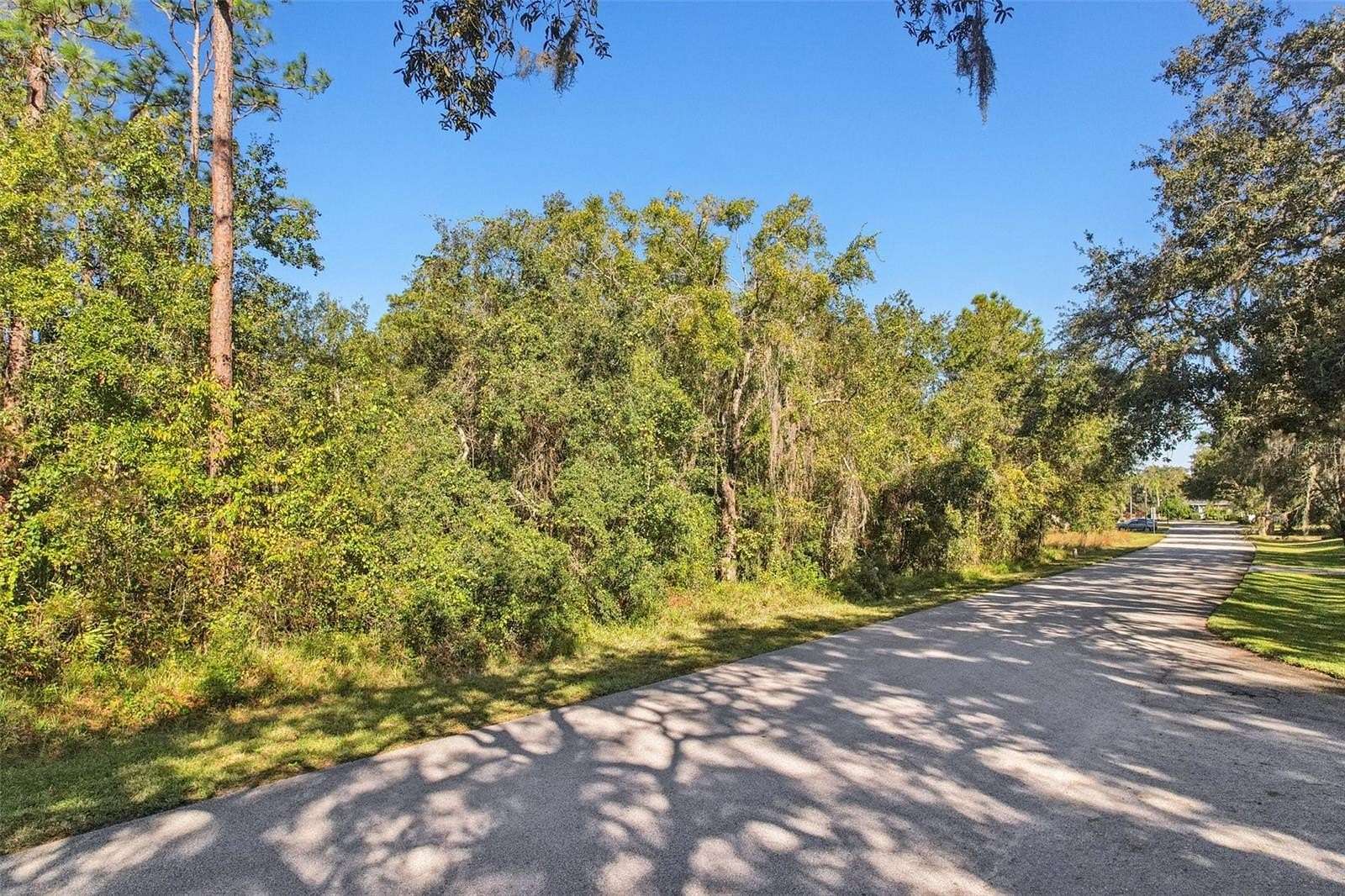 1 Acre of Residential Land for Sale in Spring Hill, Florida