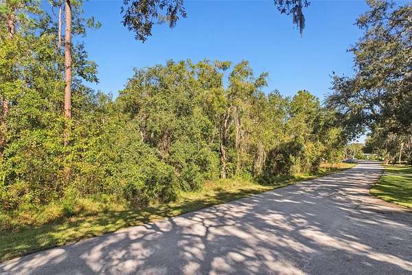 1 Acre of Residential Land for Sale in Spring Hill, Florida