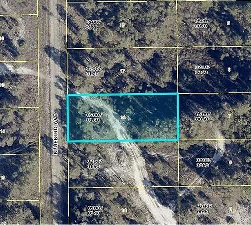 0.35 Acres of Residential Land for Sale in Lehigh Acres, Florida