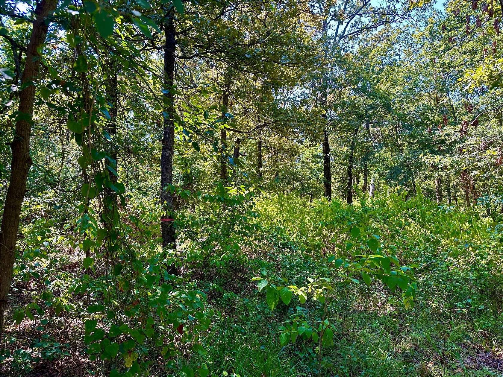 2.44 Acres of Residential Land for Sale in Sulphur Springs, Texas