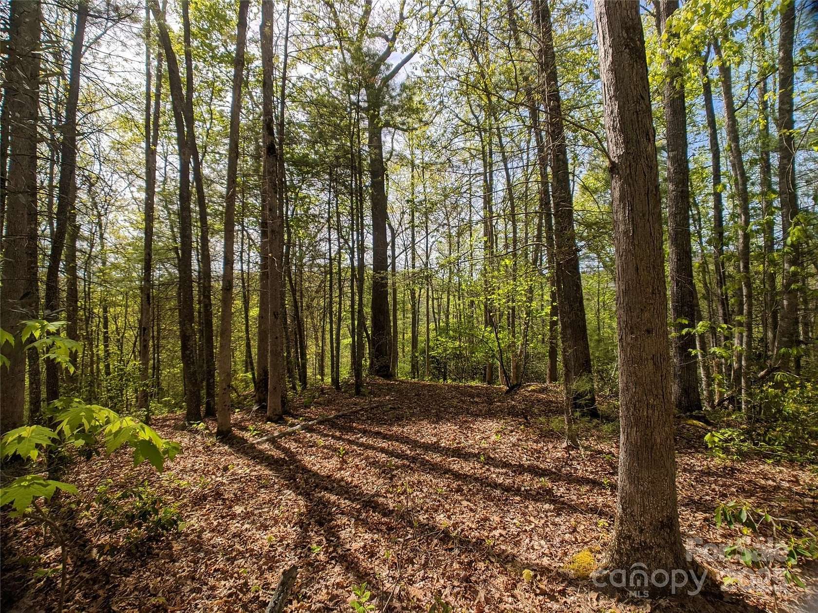 1.23 Acres of Residential Land for Sale in Marshall, North Carolina