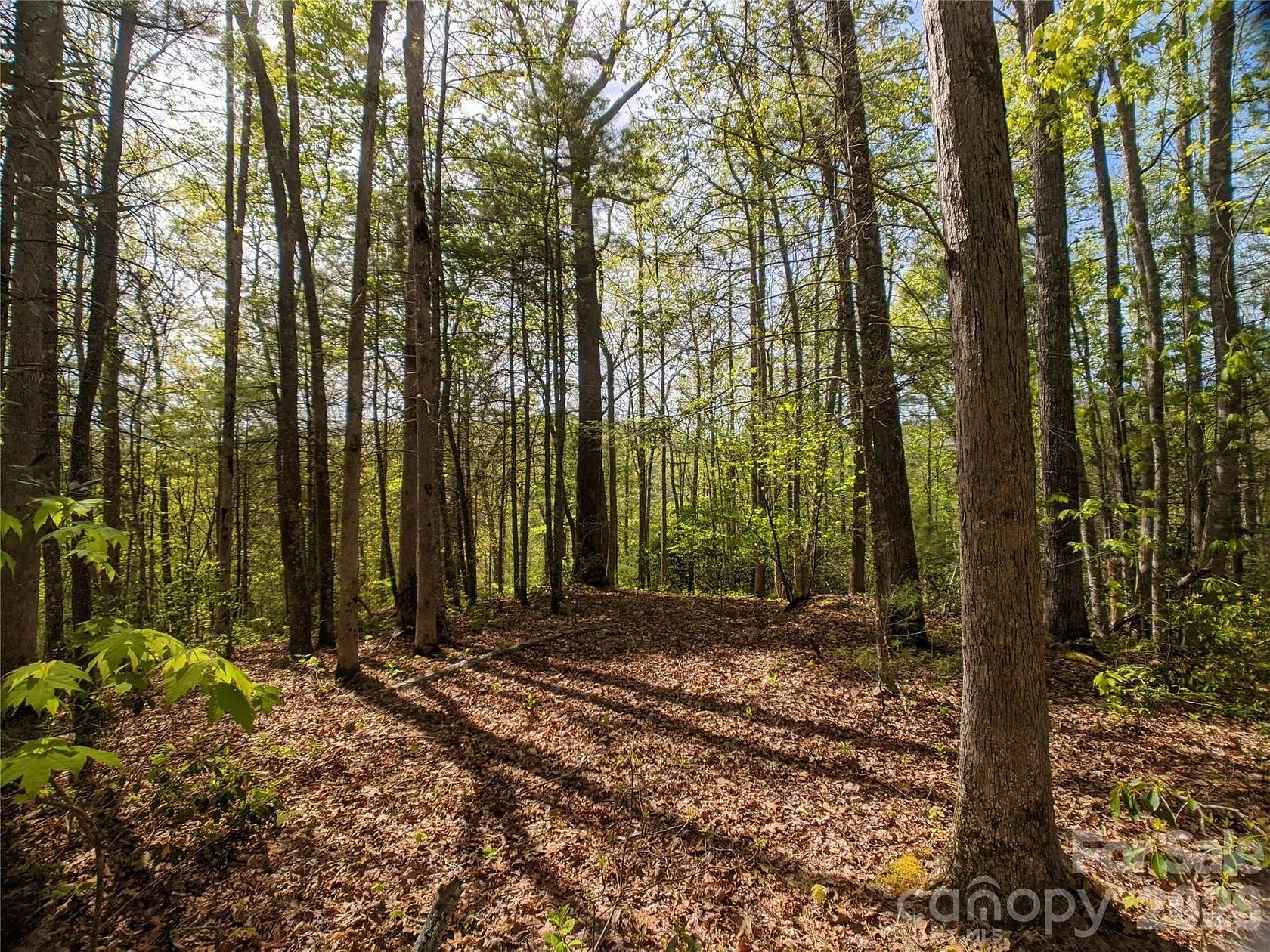 1.23 Acres of Residential Land for Sale in Marshall, North Carolina