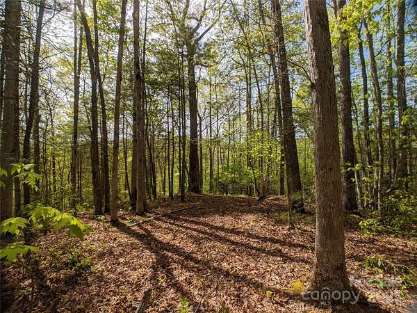 1.23 Acres of Residential Land for Sale in Marshall, North Carolina