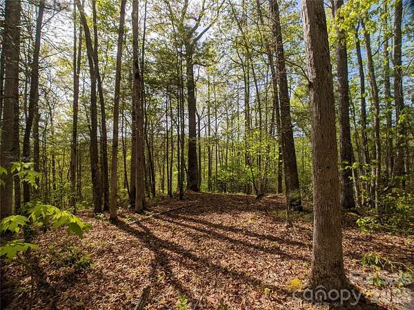 1.23 Acres of Residential Land for Sale in Marshall, North Carolina