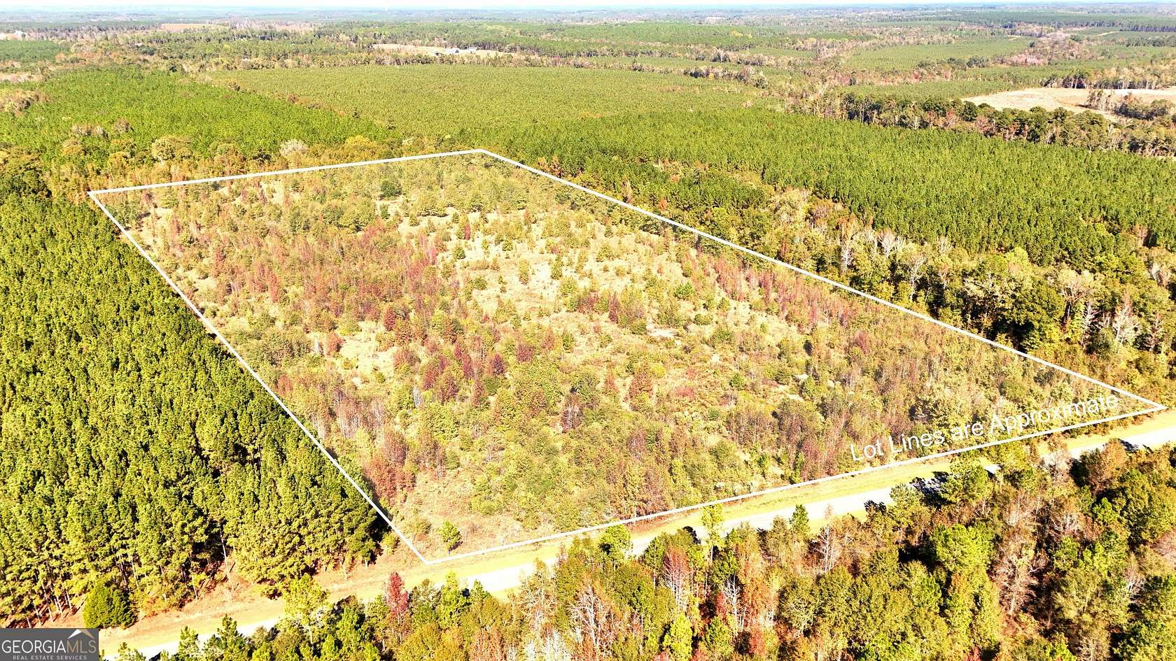 27.4 Acres of Recreational Land for Sale in Eastman, Georgia