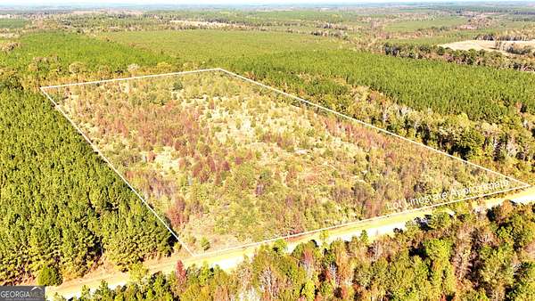 27.4 Acres of Recreational Land for Sale in Eastman, Georgia