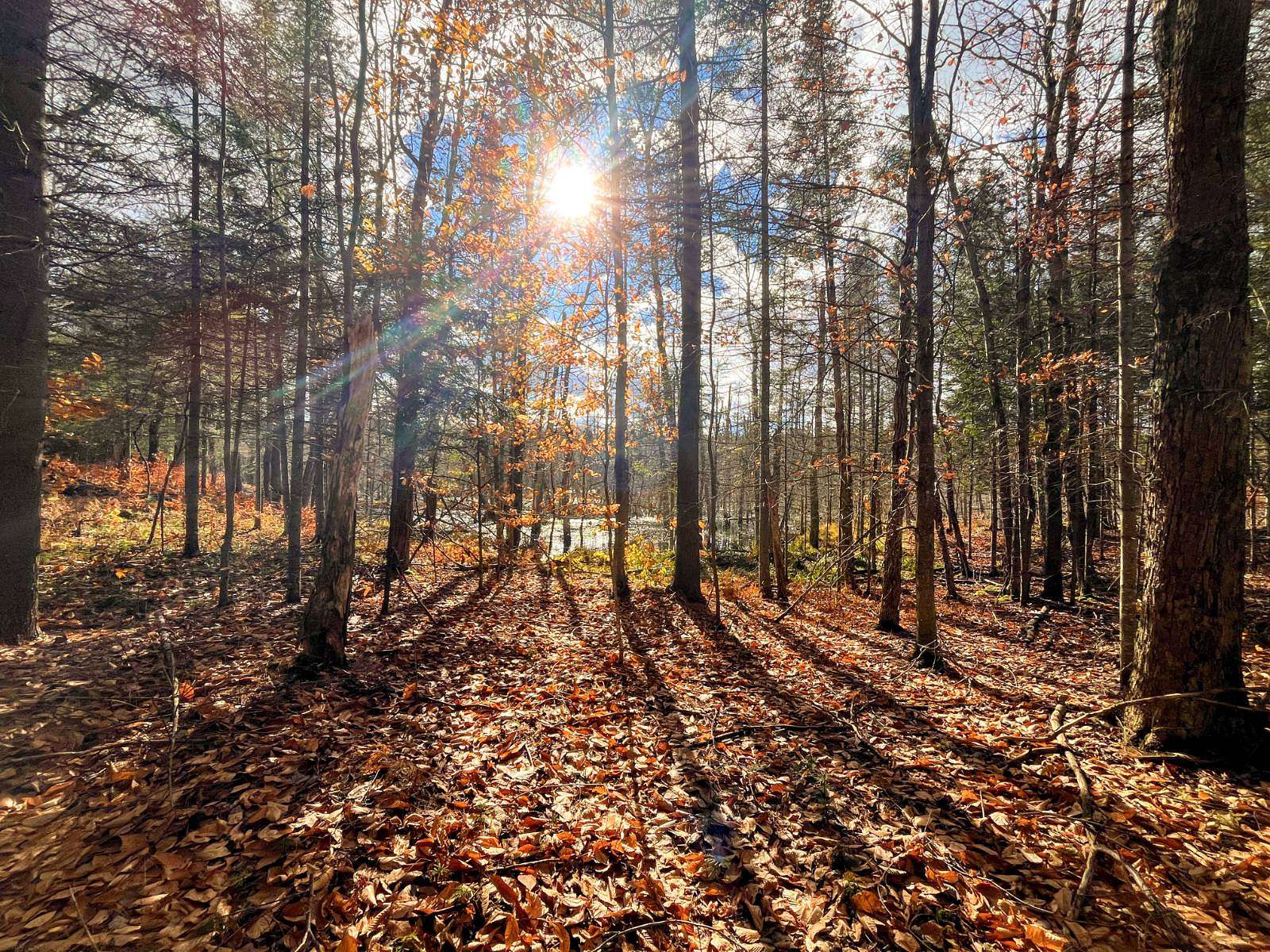 13 Acres of Recreational Land for Sale in Russell, New York