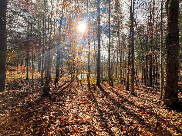 13 Acres of Recreational Land for Sale in Russell, New York