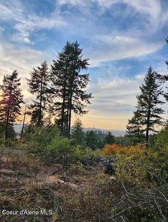 5 Acres of Residential Land for Sale in Plummer, Idaho