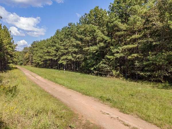 25 Acres of Land for Sale in San Augustine, Texas
