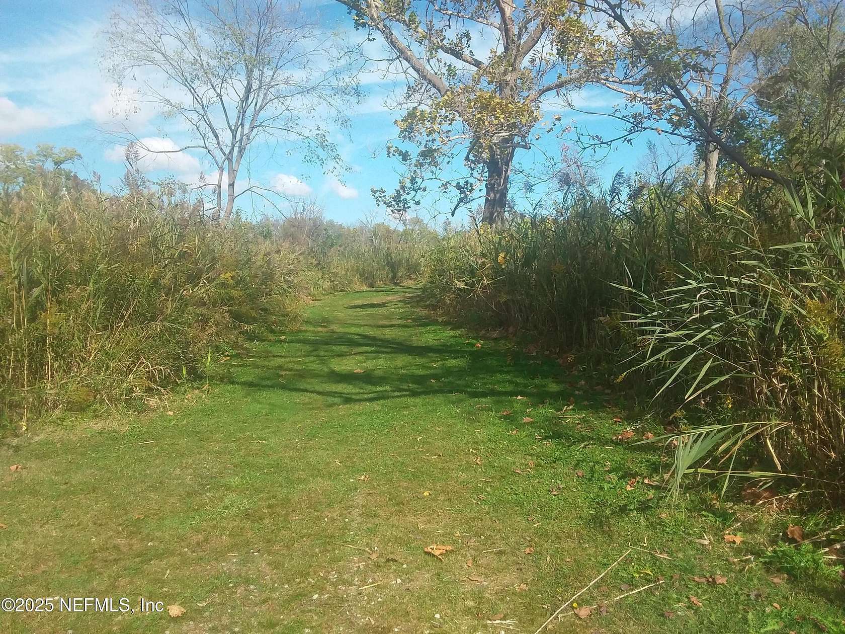 1.3 Acres of Land for Sale in Satsuma, Florida