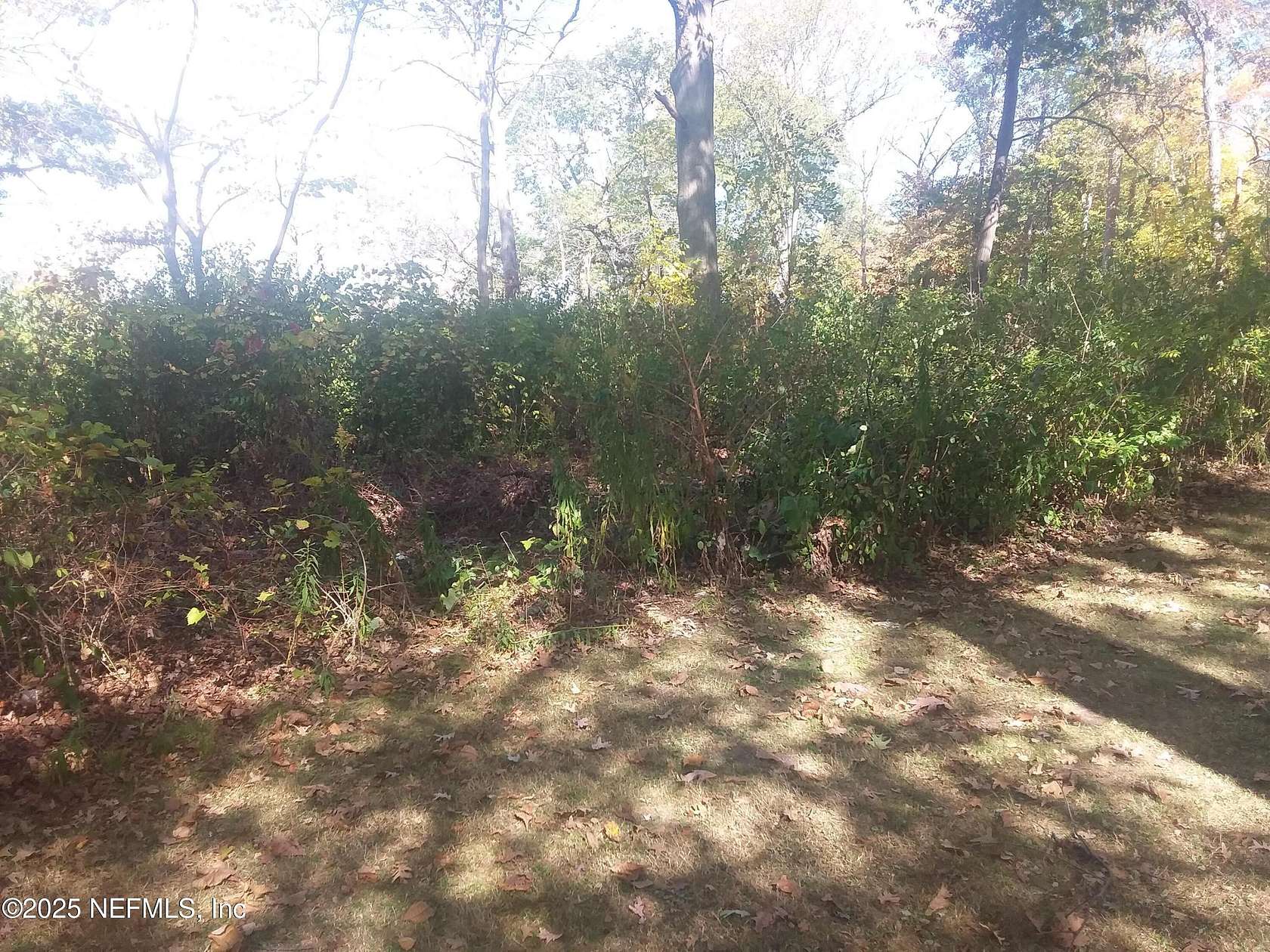 1.3 Acres of Land for Sale in Satsuma, Florida