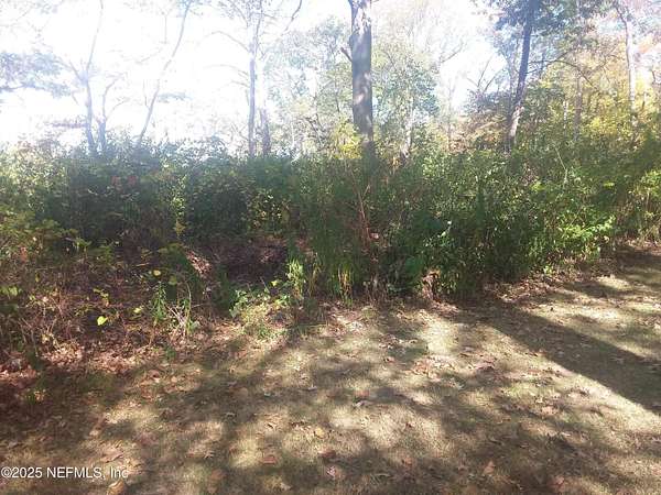 1.3 Acres of Land for Sale in Satsuma, Florida