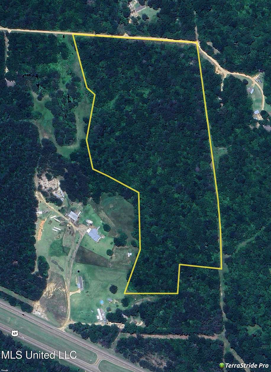 29 Acres of Land for Sale in Braxton, Mississippi