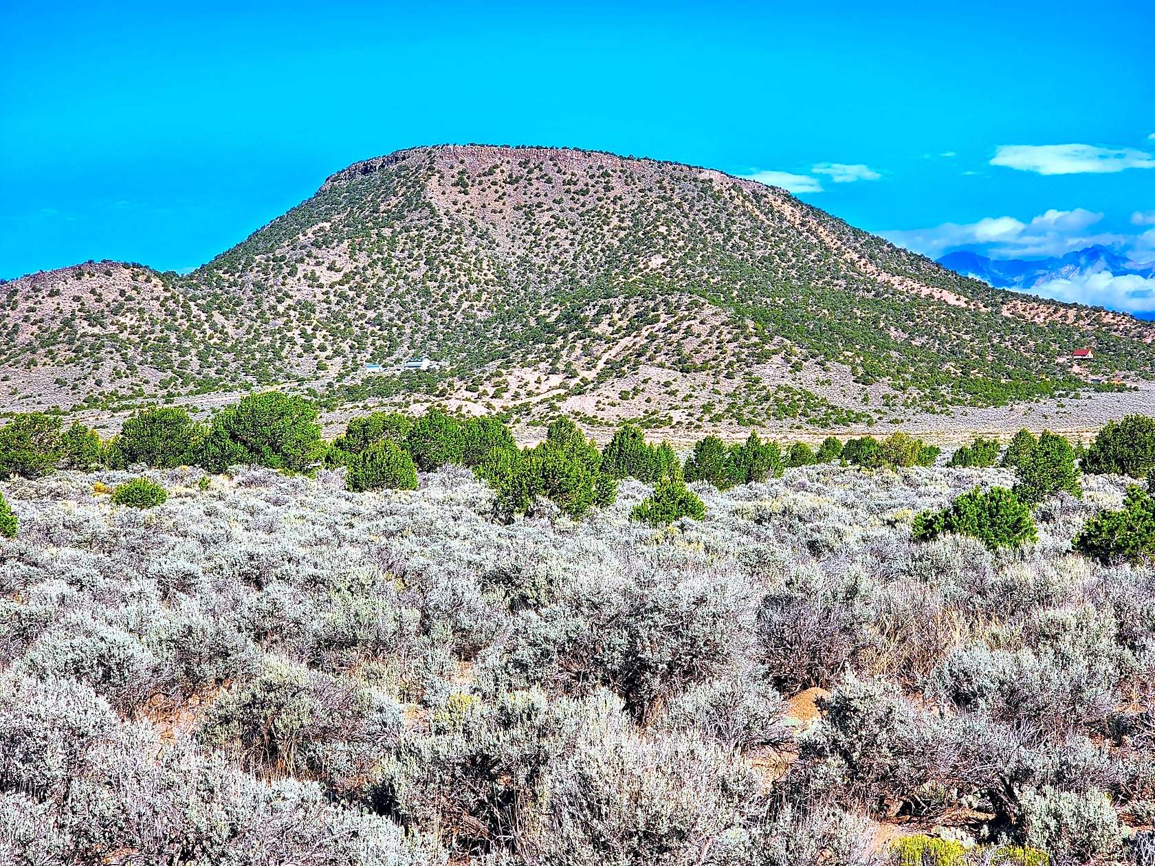 5 Acres of Residential Land for Sale in Fort Garland, Colorado