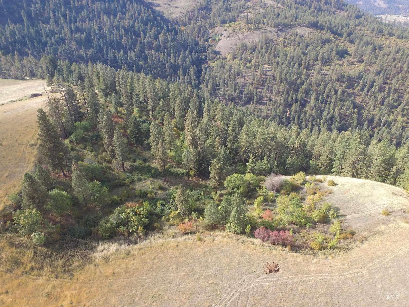 10.1 Acres of Recreational Land for Sale in Lenore, Idaho