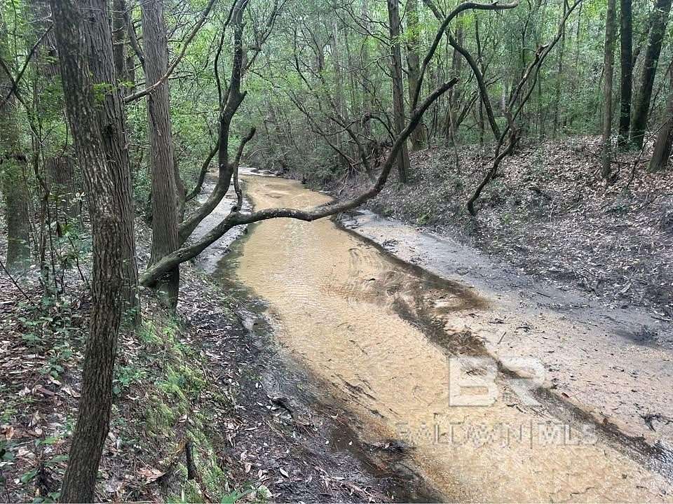 20 Acres of Land for Sale in Robertsdale, Alabama