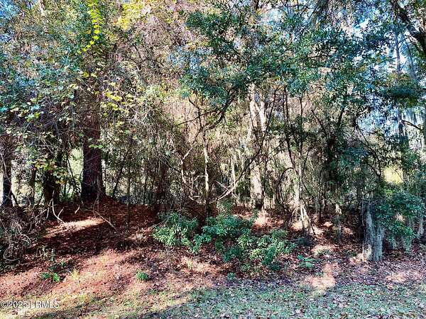 0.47 Acres of Residential Land for Sale in Ladys Island, South Carolina