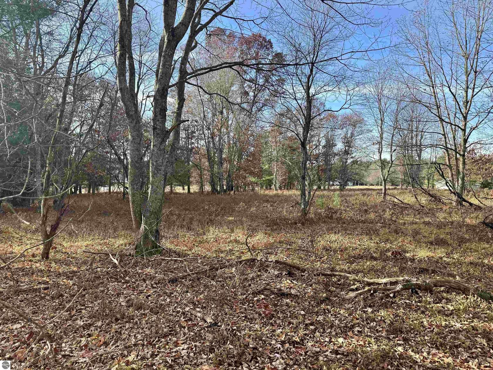 3 Acres of Residential Land for Sale in Lake City, Michigan