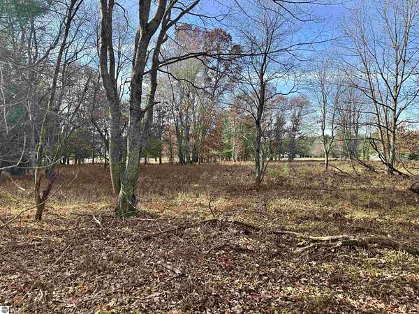 3 Acres of Residential Land for Sale in Lake City, Michigan
