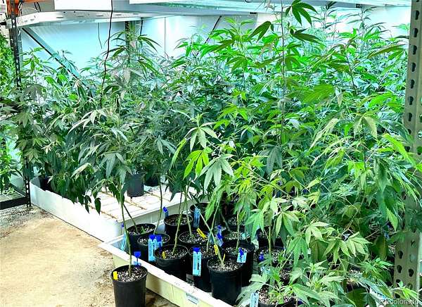 35.6 Acres of Land for Sale in Beulah, Colorado