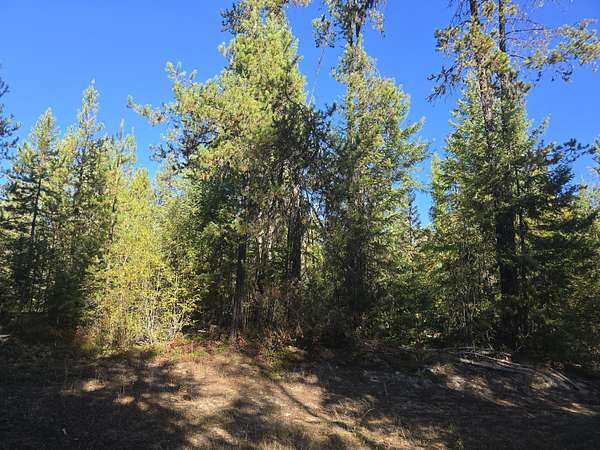 80 Acres of Recreational Land for Sale in Colville, Washington