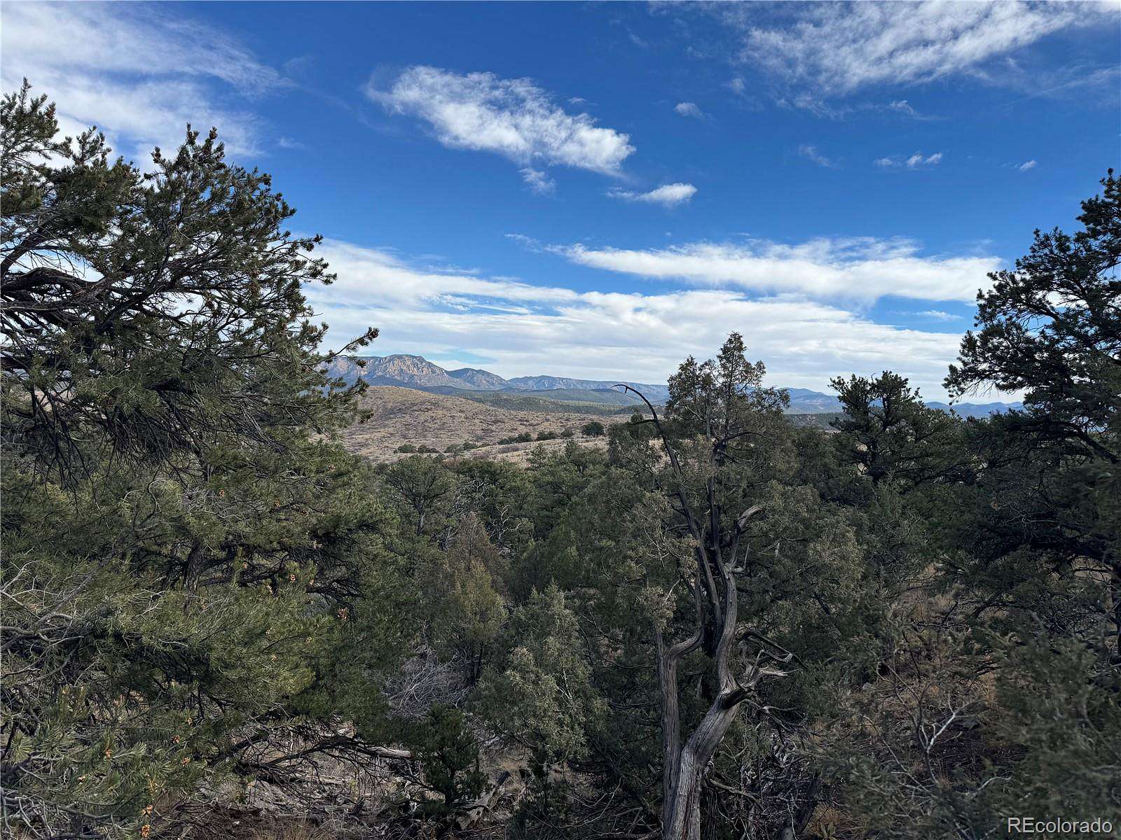 10.4 Acres of Recreational & Residential Land for Sale in Cotopaxi, Colorado