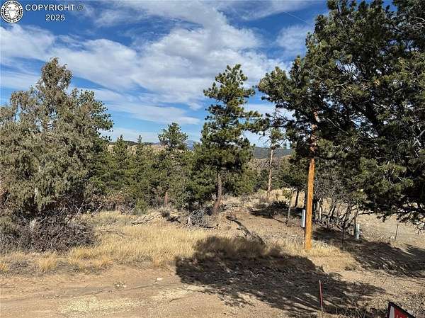 10.4 Acres of Recreational Land for Sale in Cotopaxi, Colorado
