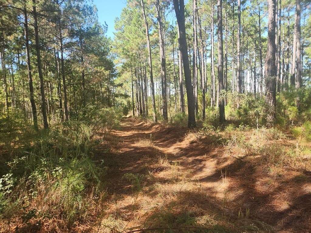 245 Acres of Land for Sale in Sale City, Georgia