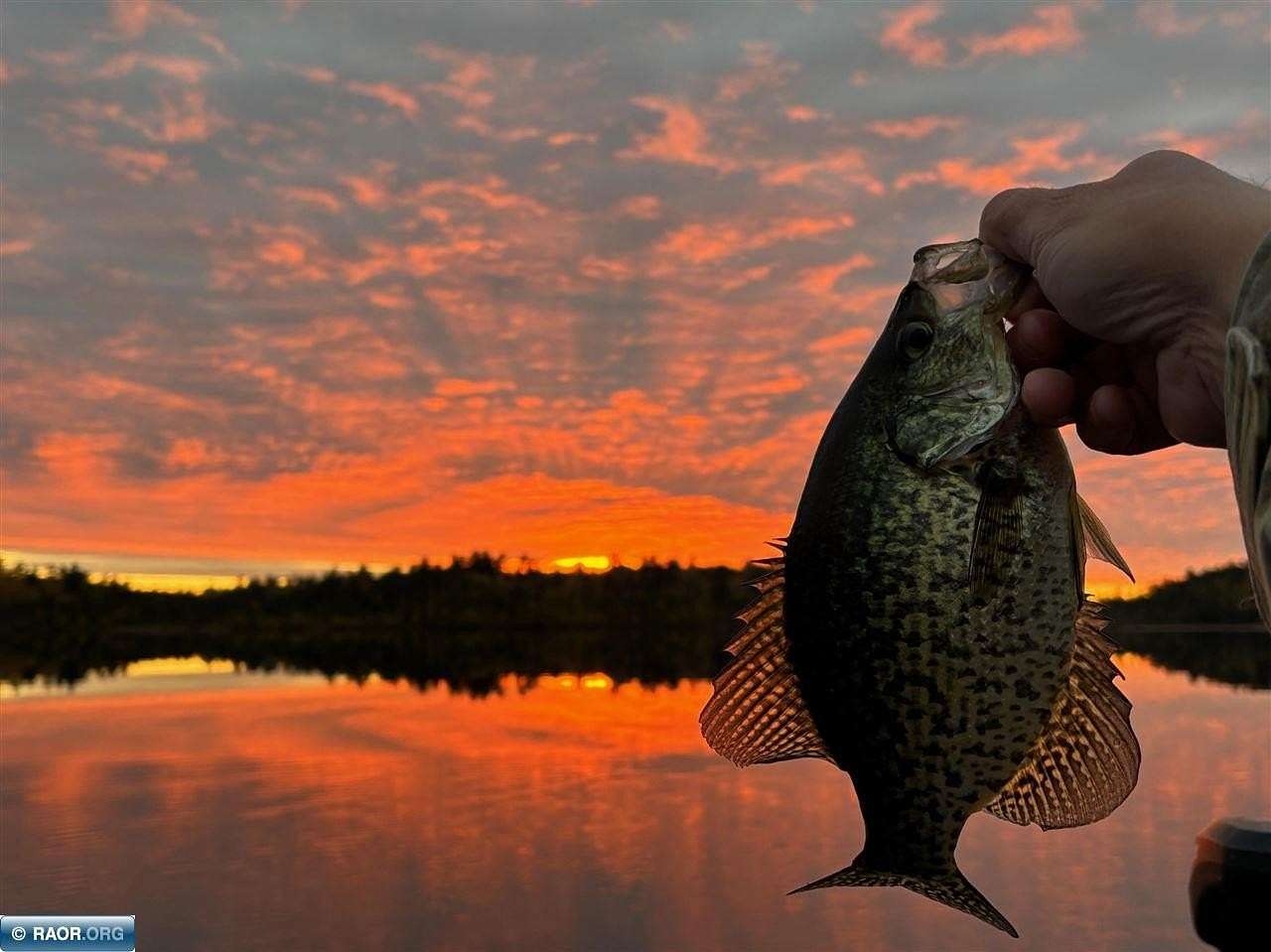 4 Acres of Residential Land for Sale in Cook, Minnesota