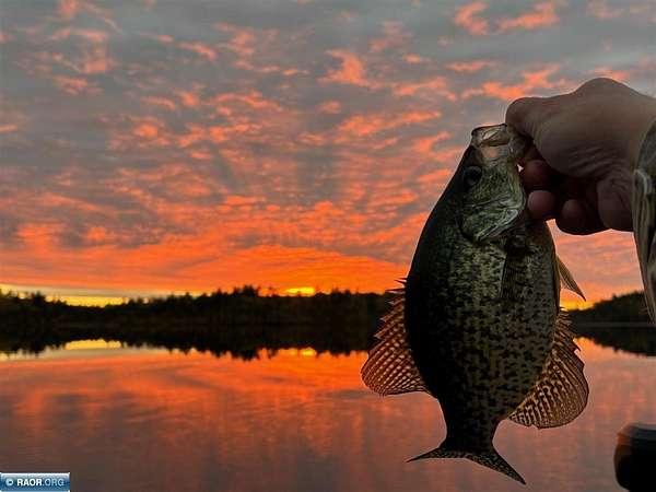 4 Acres of Residential Land for Sale in Cook, Minnesota