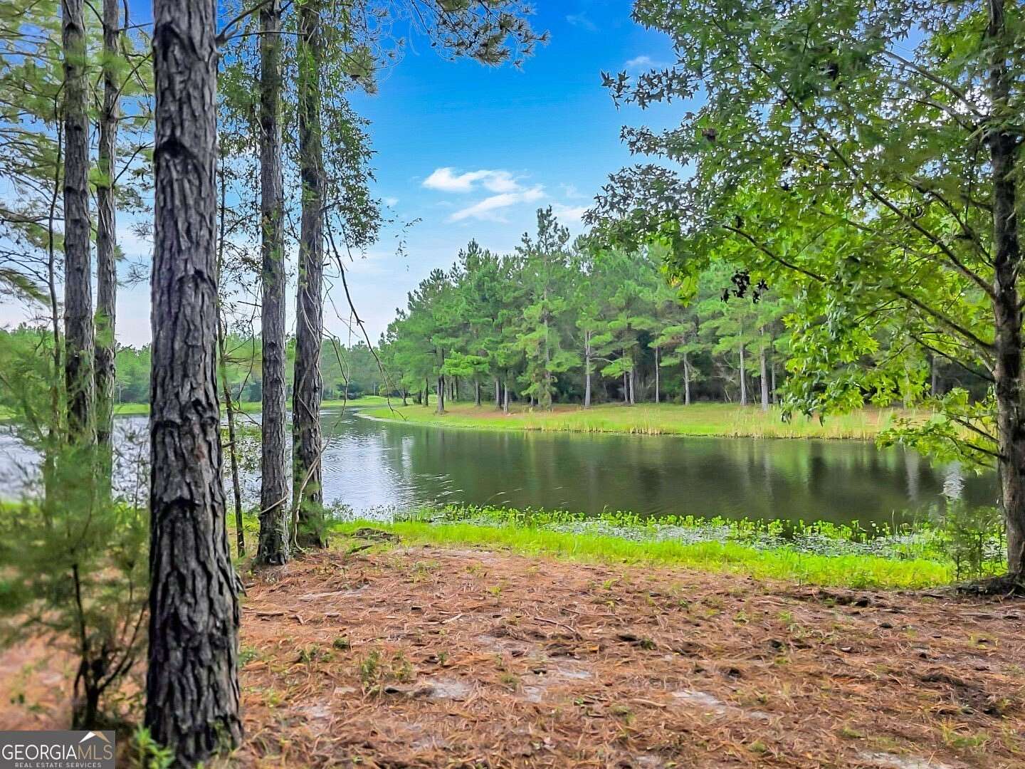 0.28 Acres of Residential Land for Sale in Waverly, Georgia