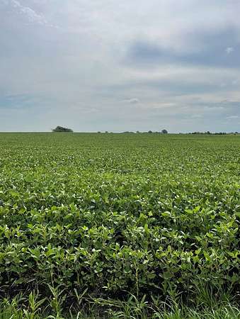 10 Acres of Land for Sale in Manhattan, Illinois