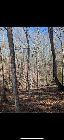 0.81 Acres of Residential Land for Sale in Lithonia, Georgia